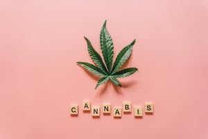 cannabis